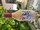 Dog Wine Bottle Toy - View 2