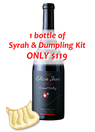1 Syrah & Dumpling Kit